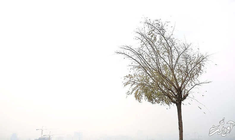 (تصاویر) شرایط ناسالم هوای تهران